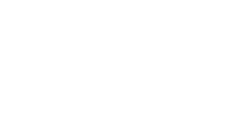 Insurance Brokers of Minnesota